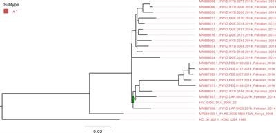 Genomic analysis of circulating HIV and hepatitis C virus infections and coinfections in Cameroon: 2005–2006 and 2015–2016